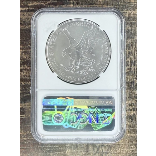 $1 US American Silver Eagle (2)