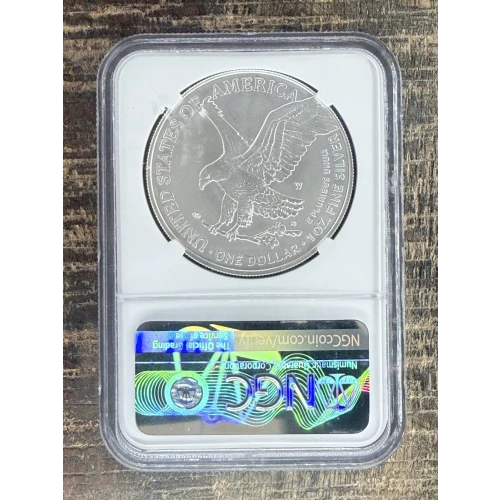 $1 US American Silver Eagle (2)