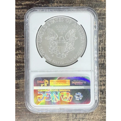 $1 US American Silver Eagle (2)