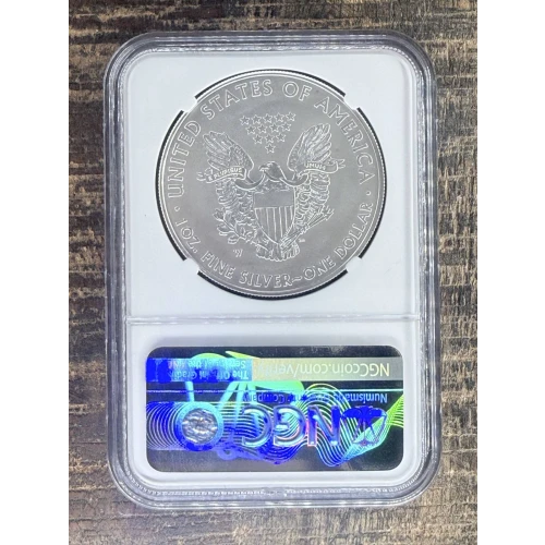 $1 US American Silver Eagle (2)