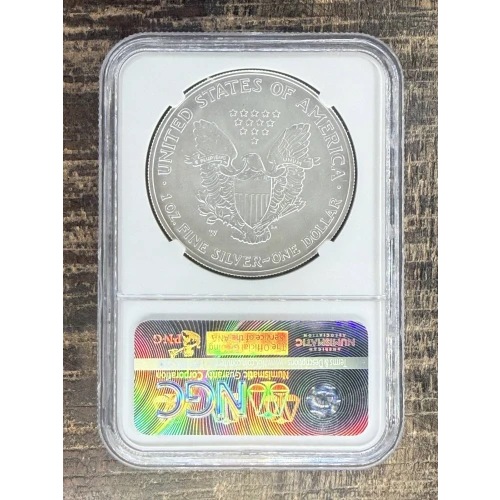 $1 US American Silver Eagle (2)