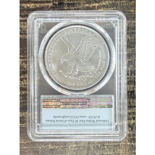 $1 US American Silver Eagle (2)