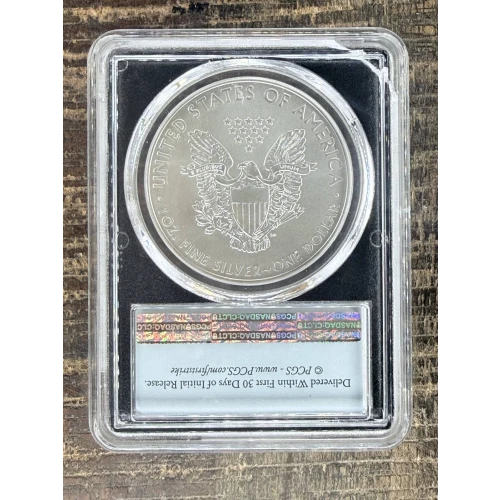 $1 US American Silver Eagle (2)