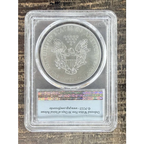 $1 US American Silver Eagle (2)