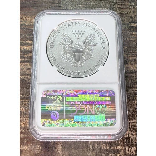$1 US American Silver Eagle (2)