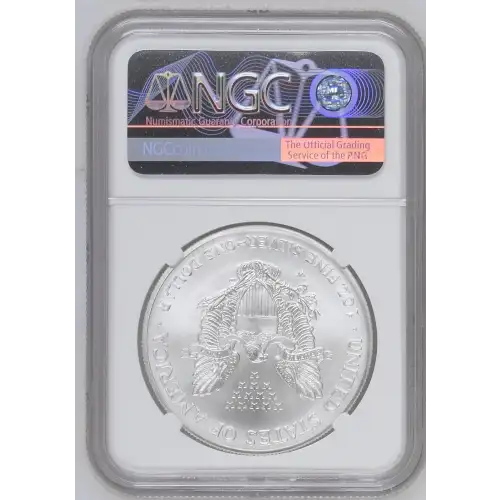 2008 W BURNISHED SILVER EAGLE REVERSE OF 2007 (3)
