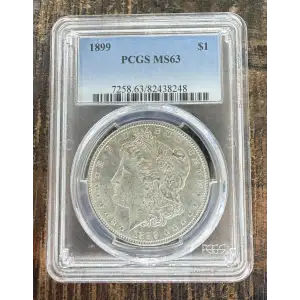 1899 $1 (2)