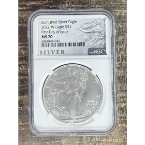 $1 US American Silver Eagle