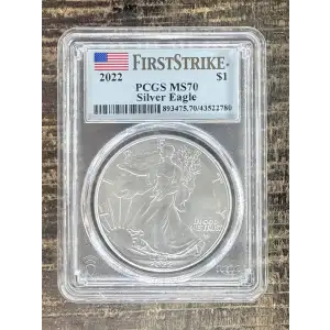 $1 US American Silver Eagle