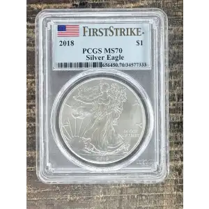 $1 US American Silver Eagle